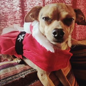 Meet your Posher, Donald